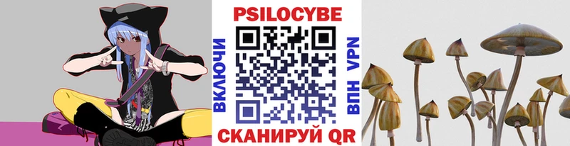 OMG зеркало  Малмыж  Псилоцибиновые грибы GOLDEN TEACHER 